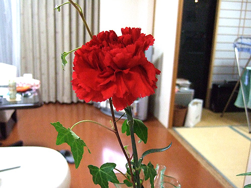 20080511_06.jpg