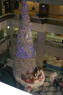 IMG_3917.jpg